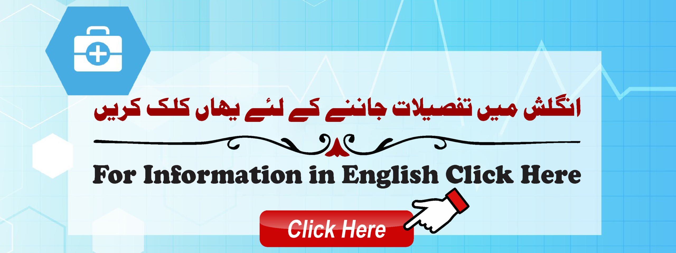 Erectile Dysfunction, Premature Ejaculation, Penis, Male Reproductive Organ, Male Reproductive System