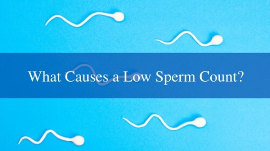 What Are The Causes Of Low Sperm Count: Pyospermia Natural Treatment