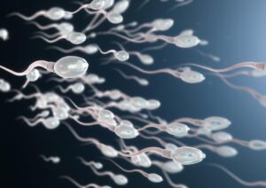 Dead Sperm Cell