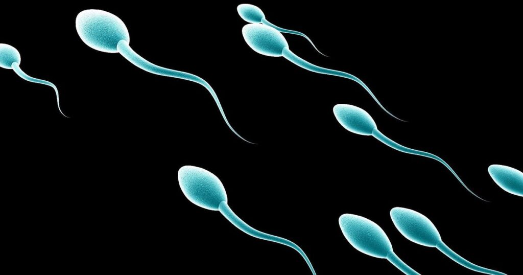 how-do-sperm-ducts-get-blocked-sperm-blockage-causes-doctor-omar