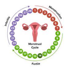 Do piles affect menstruation?