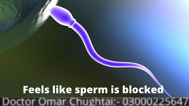 Feels like sperm is blocked | Ejaculatory Duct Obstruction