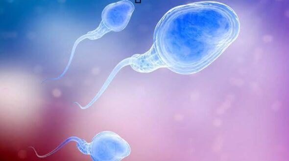 Blocked sperm tube – Epididymal Obstruction