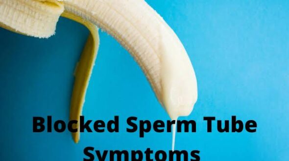 What are the blocked sperm tube symptoms?