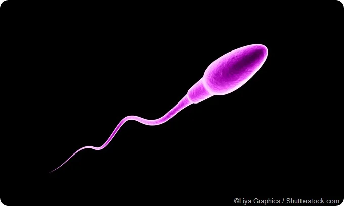 Sperm Blockage Causes