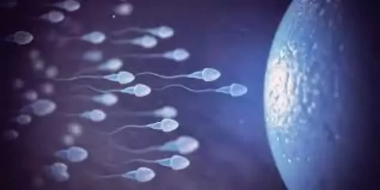 What Is Dead Sperm? | Diagnosis, Causes & Treatment