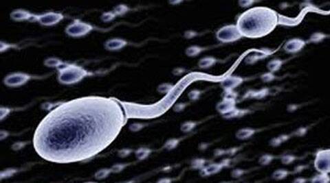 Feels Like Sperm Is Blocked - Sperm Tube blockage